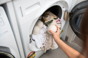 Eco Laundry Kit