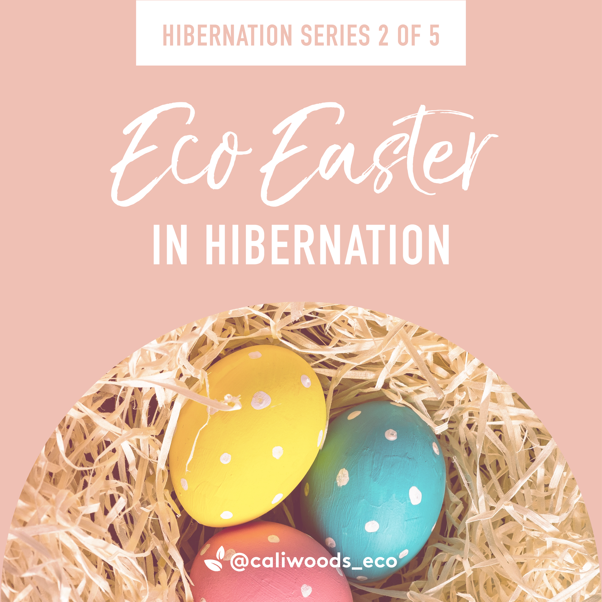 Hibernation Series 2 of 5: Eco Easter In Hibernation