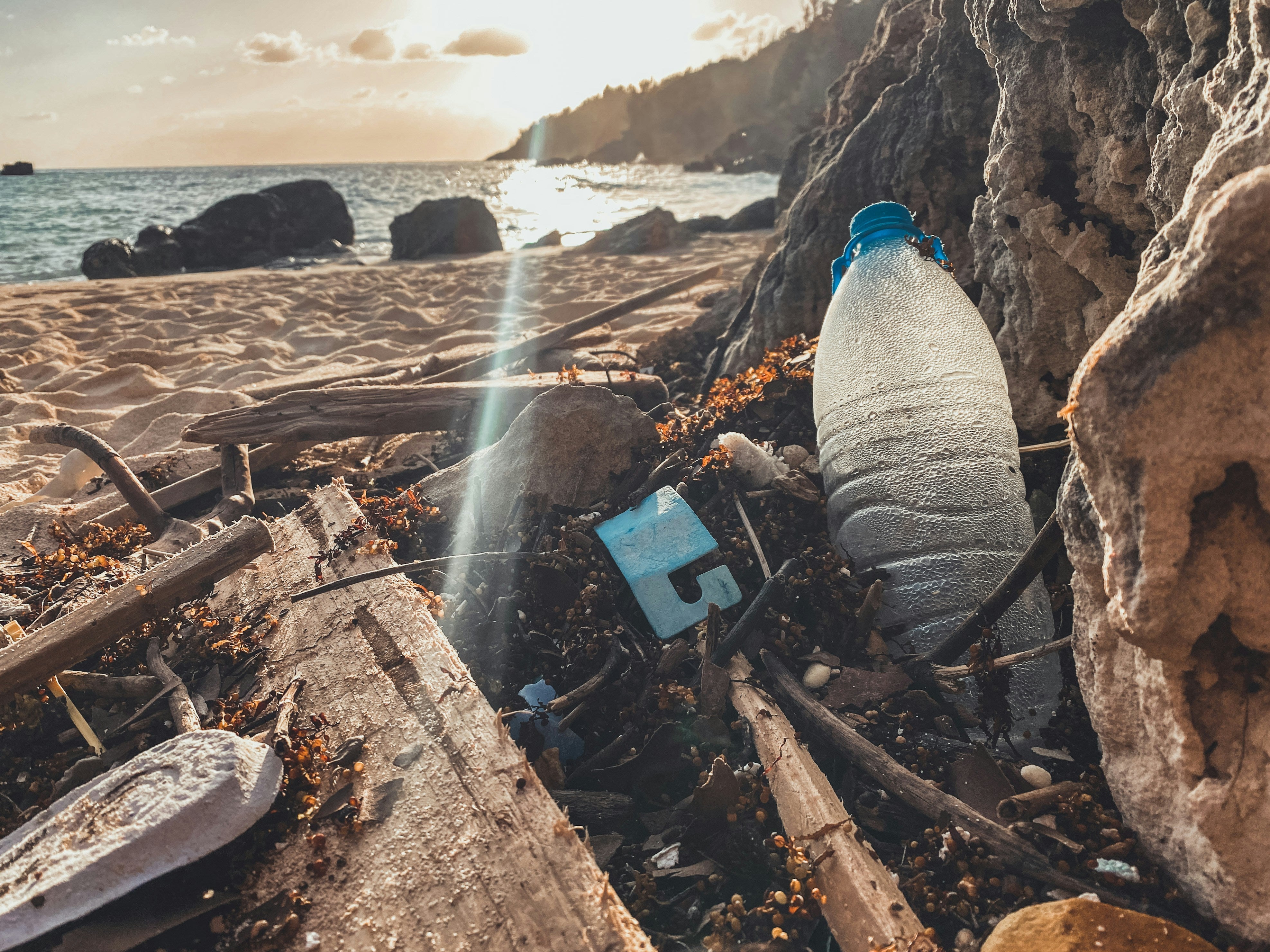 CaliWoods Plastic Free July low tox tips
