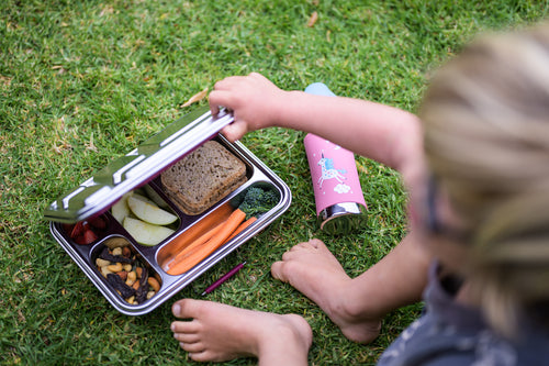 Healthy toddler lunch in stainless steel lunchbox in nz
