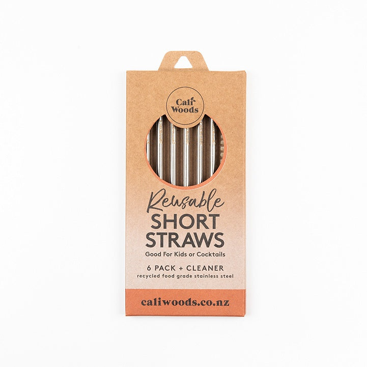 Short Straw Pack - Stainless Steel
