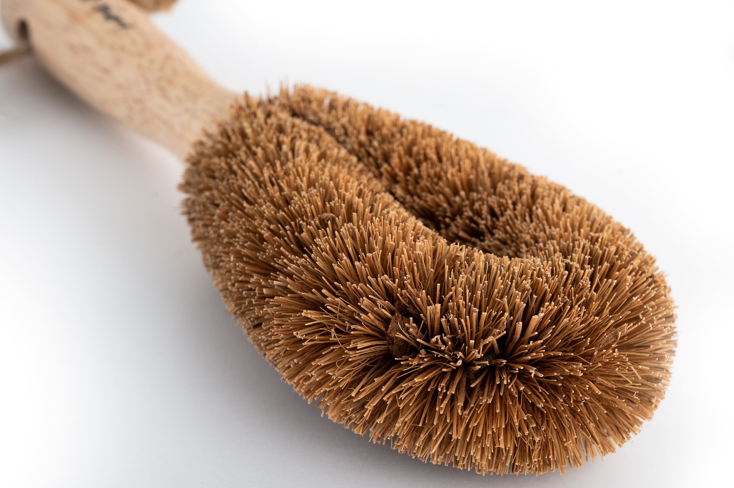 Starter Brush Kit
