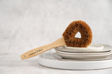 Starter Brush Kit